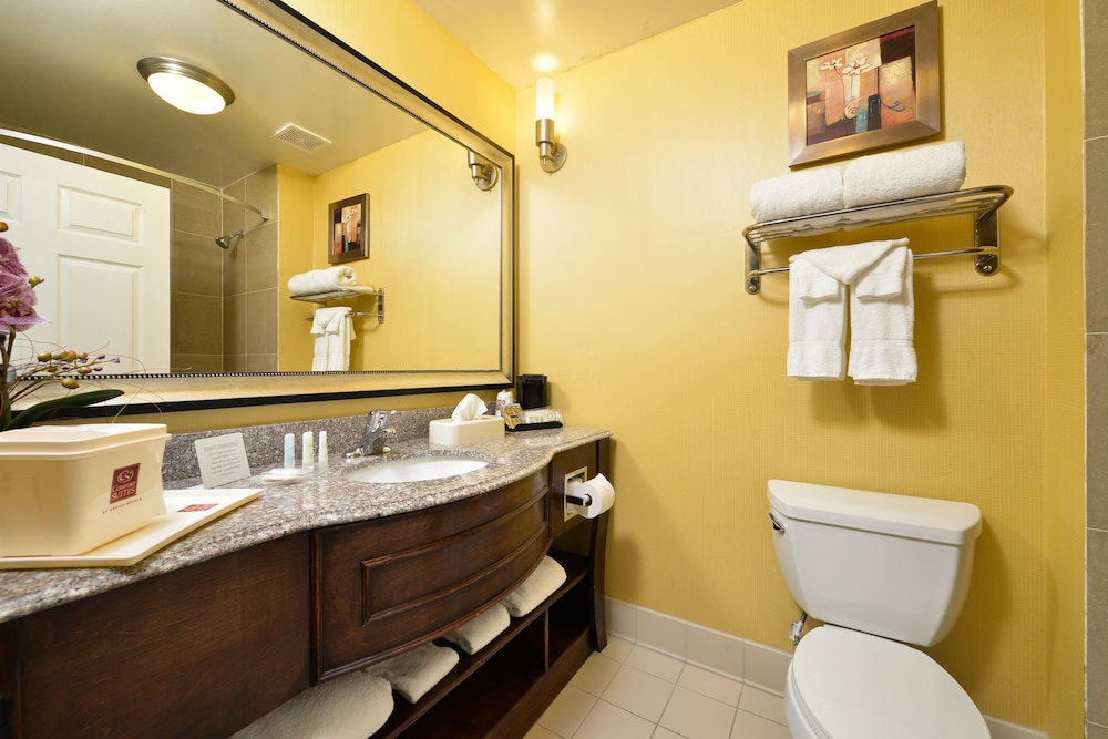 Comfort Suites Bay City 11/34