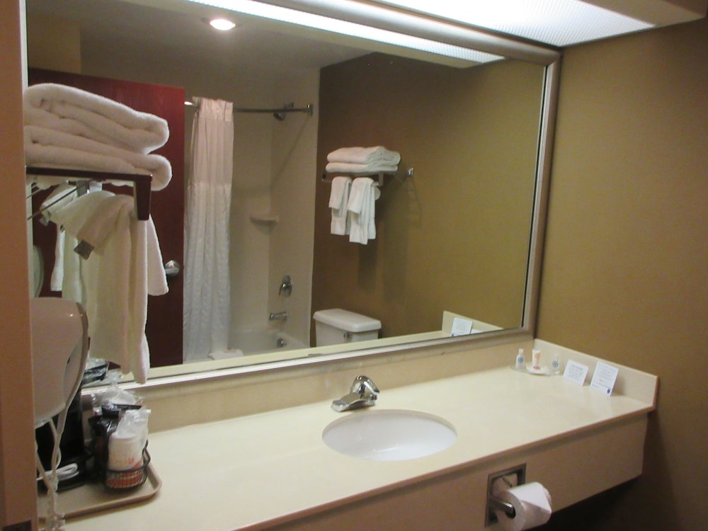 Comfort Inn & Suites Lantana - West Palm Beach South 19/40