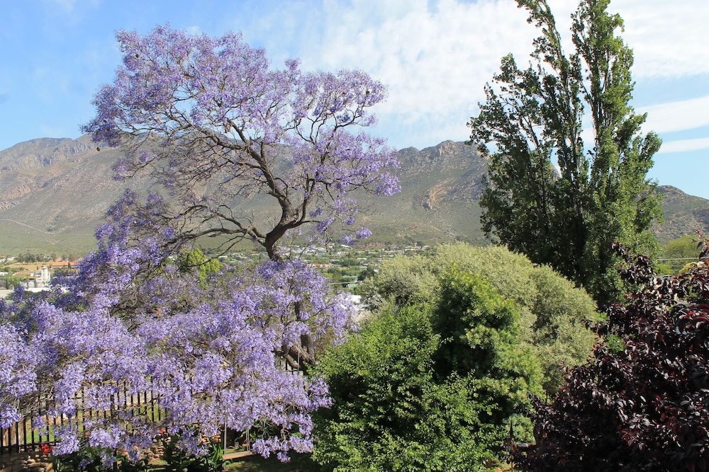 Mountain View Lodge Montagu 32/43