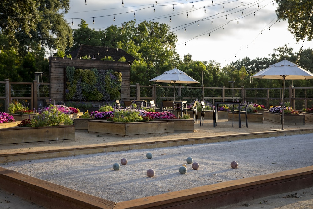 CordeValle 6/67