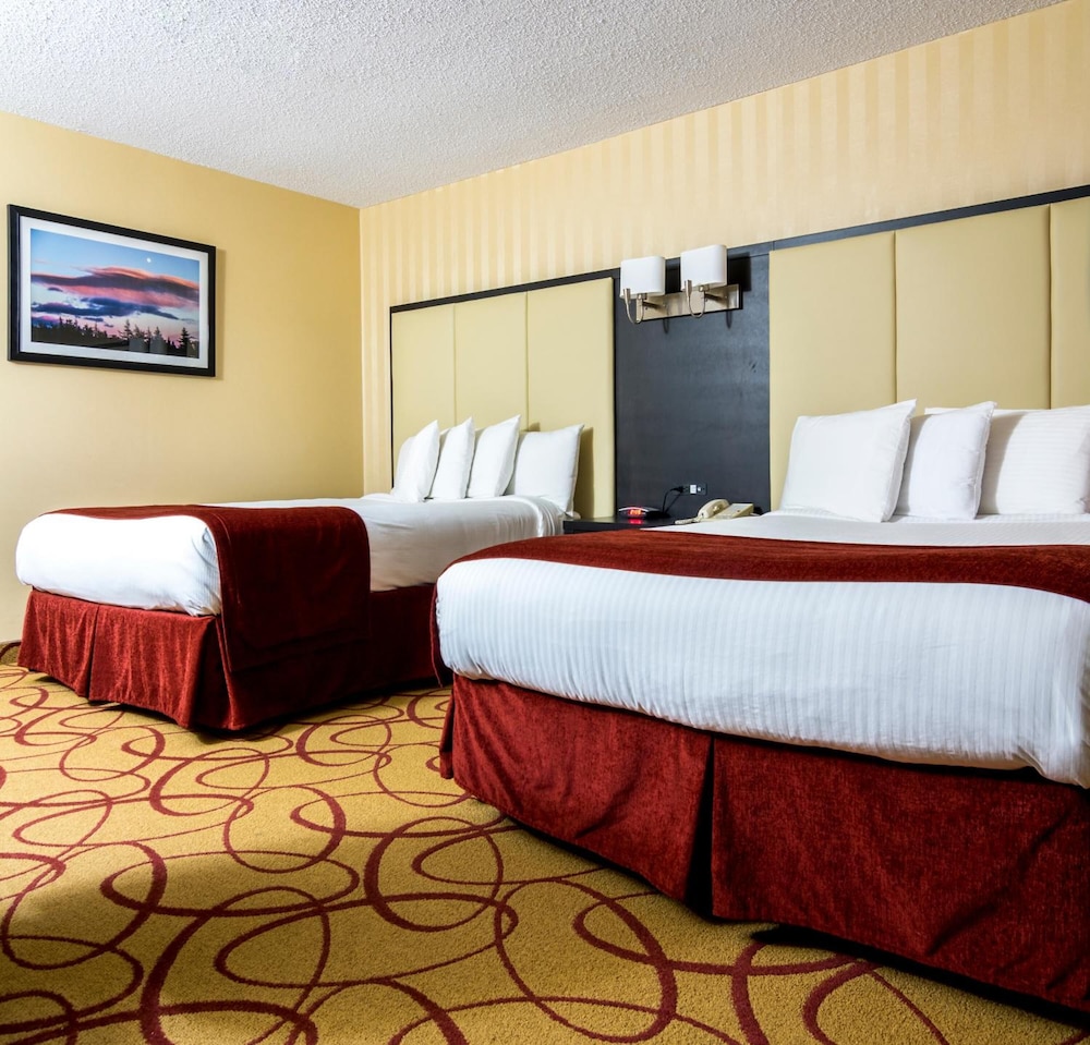 Sinbads Hotel And Suites 14/50