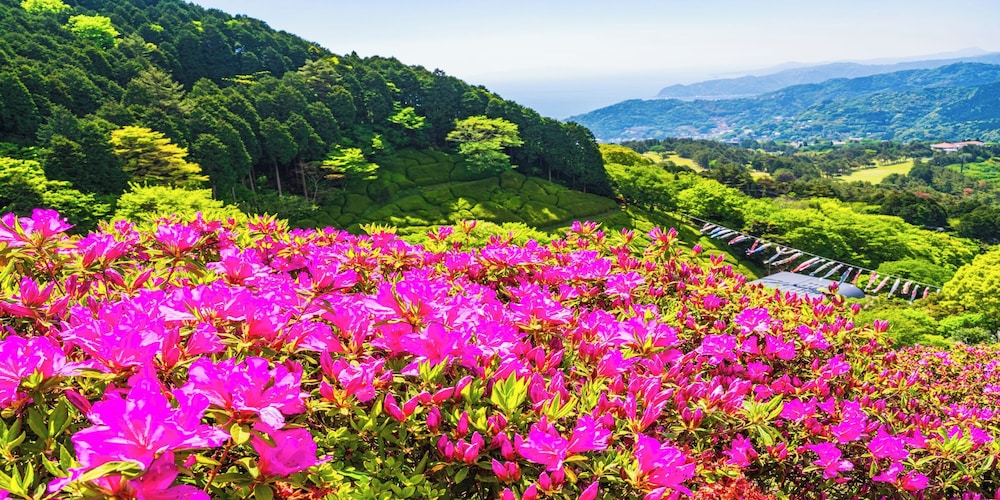 Kamenoi Hotel Atami Annex 53/55