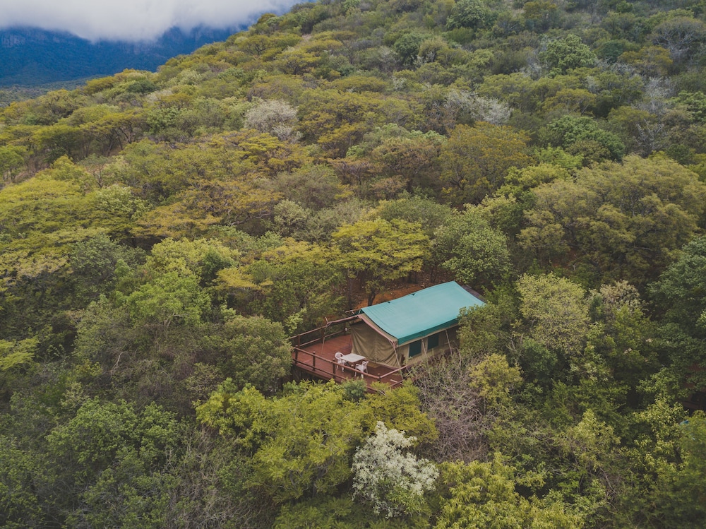 Amafu Forest Lodge 18/50