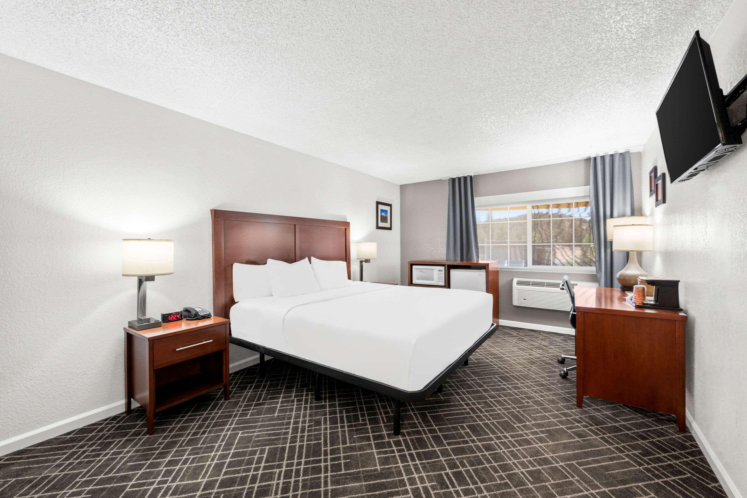 Suite, King Bed
