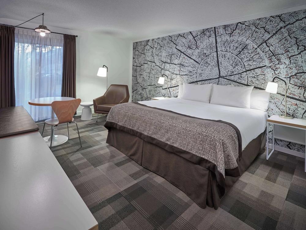1 Bedroom, Coast, Premium, Suite, Bathtub
