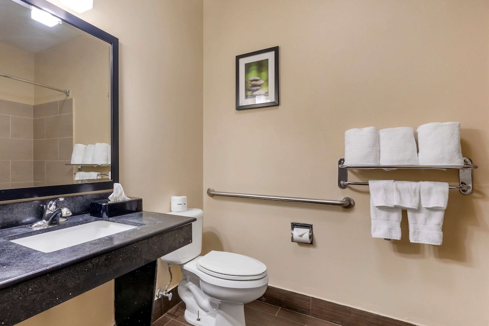 Comfort Suites North Dallas 16/31
