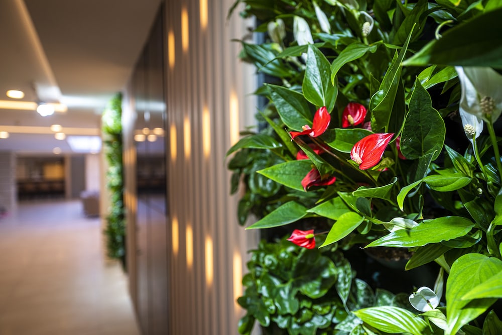 Greenfield Hotel Golf And Spa 44/45