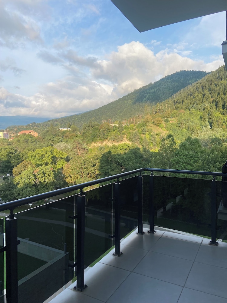 Borjomi Likani Hotel, Borjomi 32/75