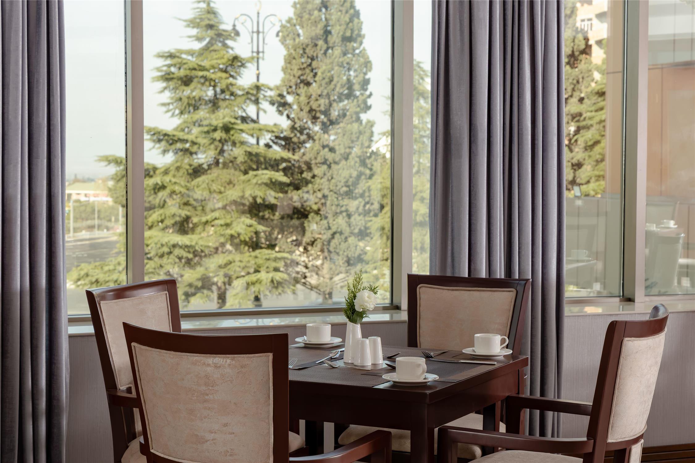 Ramada Plaza by Wyndham Gence 33/49