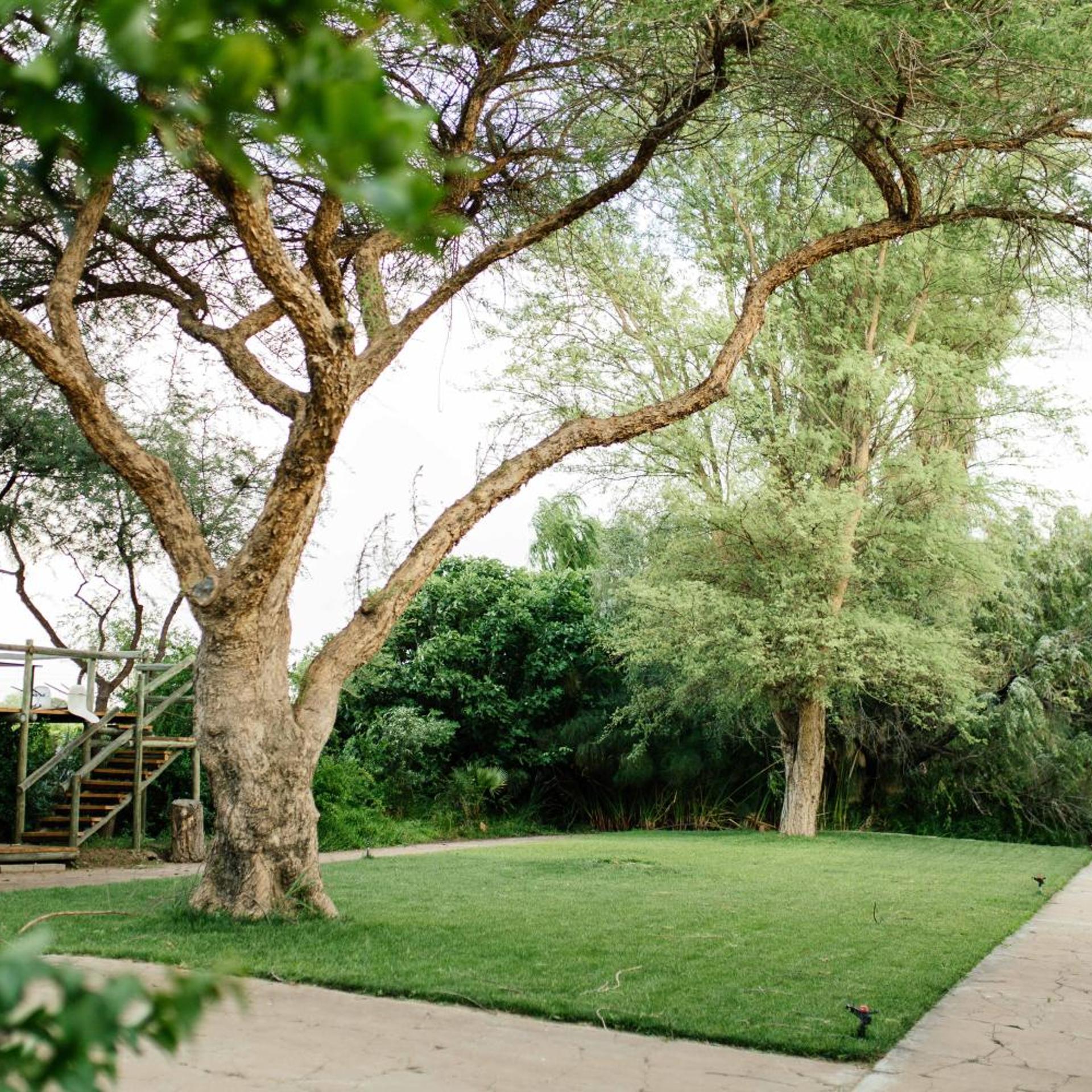 African Vineyard Guest House & Wellness Spa 43/50