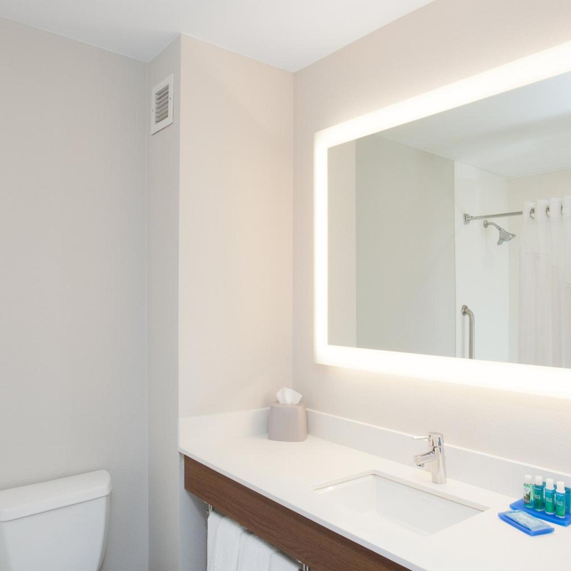 Xtra Space, Standard, King Bed، Holiday Inn Express Haskell-Wayne Area 2/2