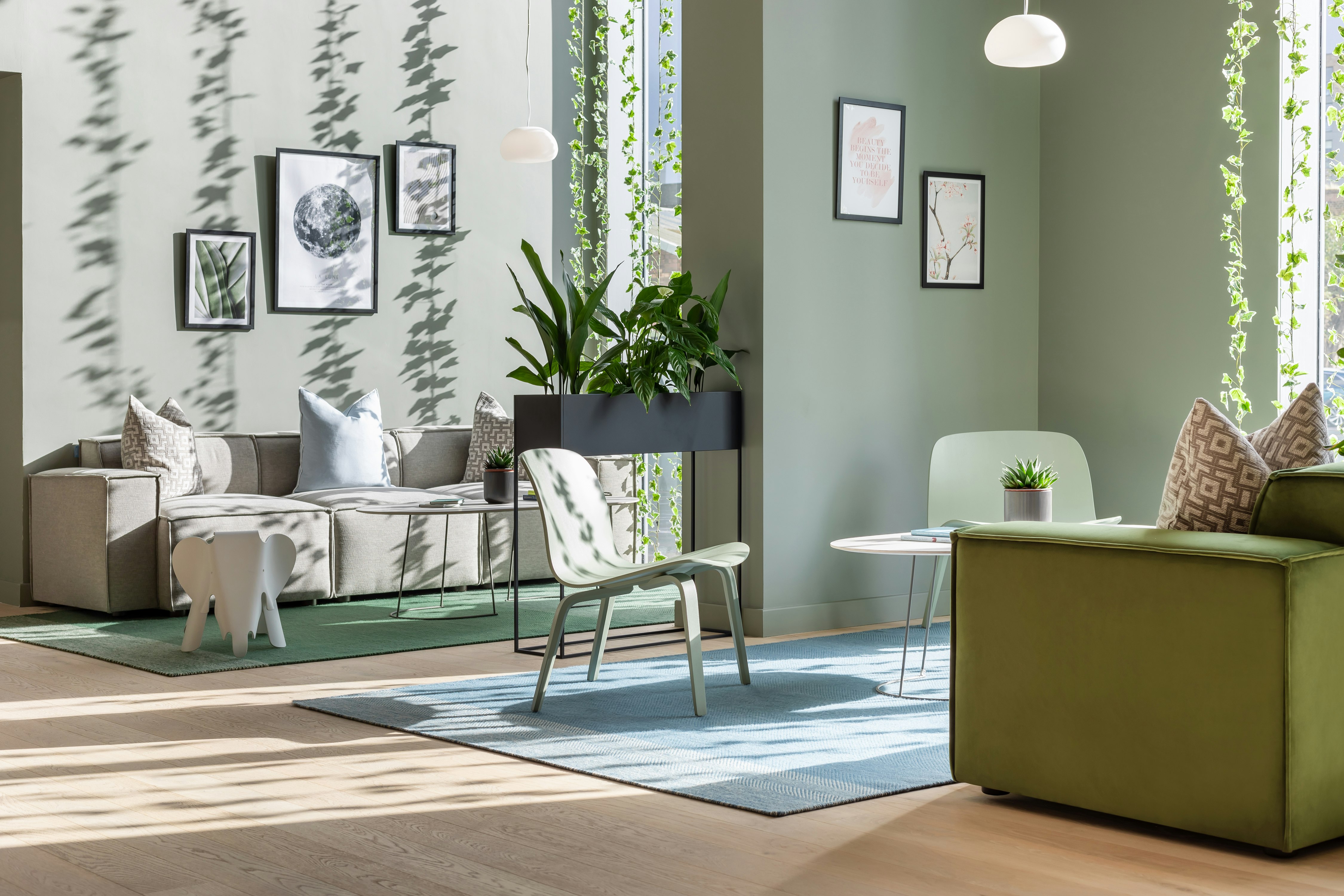 Zedwell Greenwich 30/34