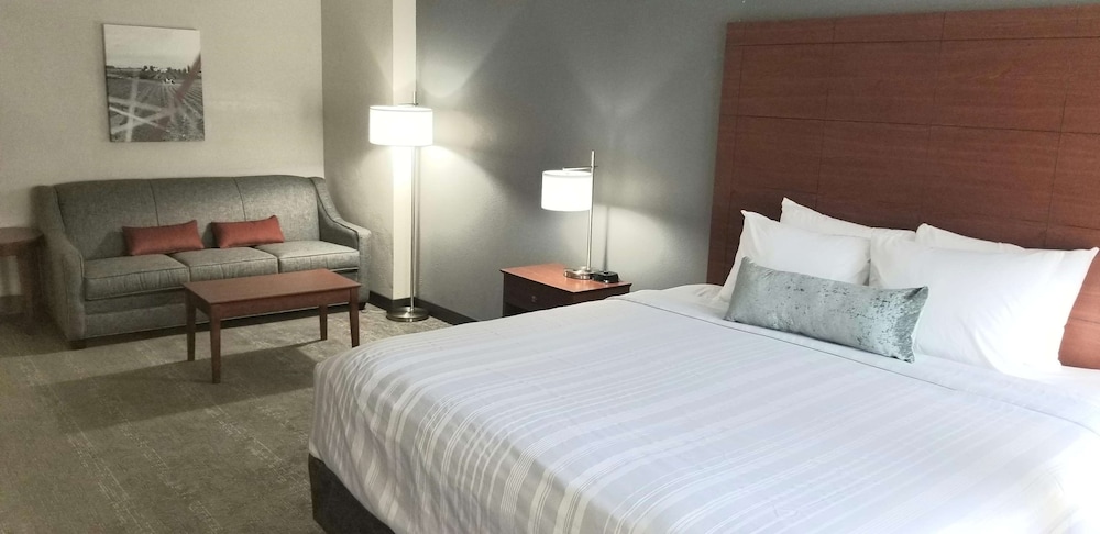 STANDARD, KING BED, SOFA