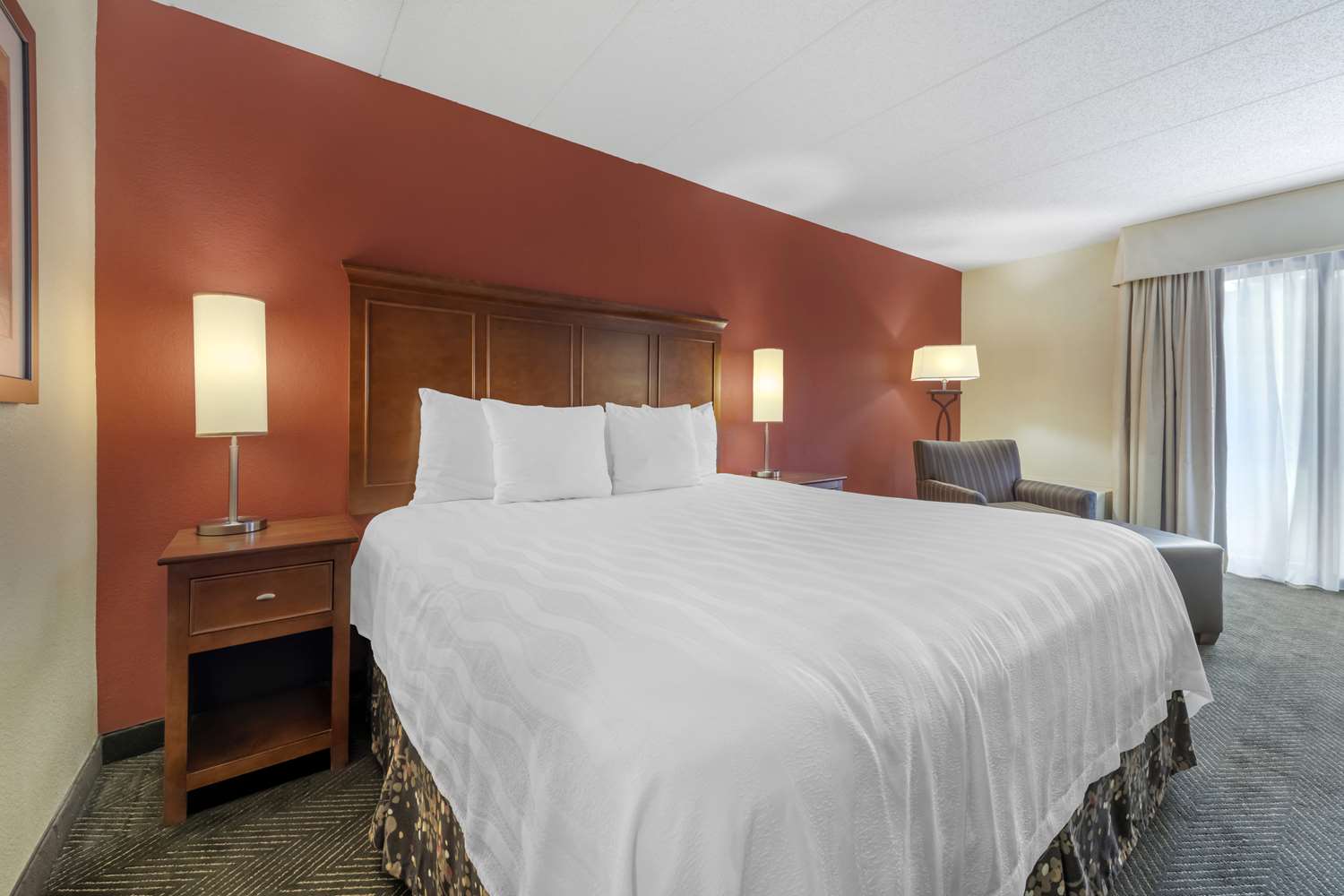 Room, King Bed, Accessible