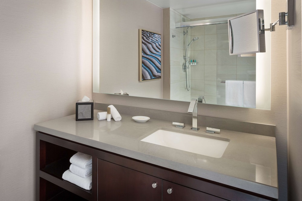Hyatt Regency San Francisco Airport 22/79