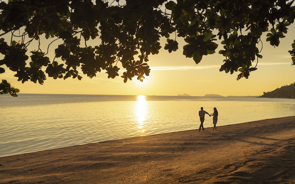 Explorar Koh Phangan Adult Only 54/63