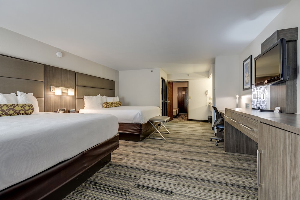 Junior Suite, Multiple Beds