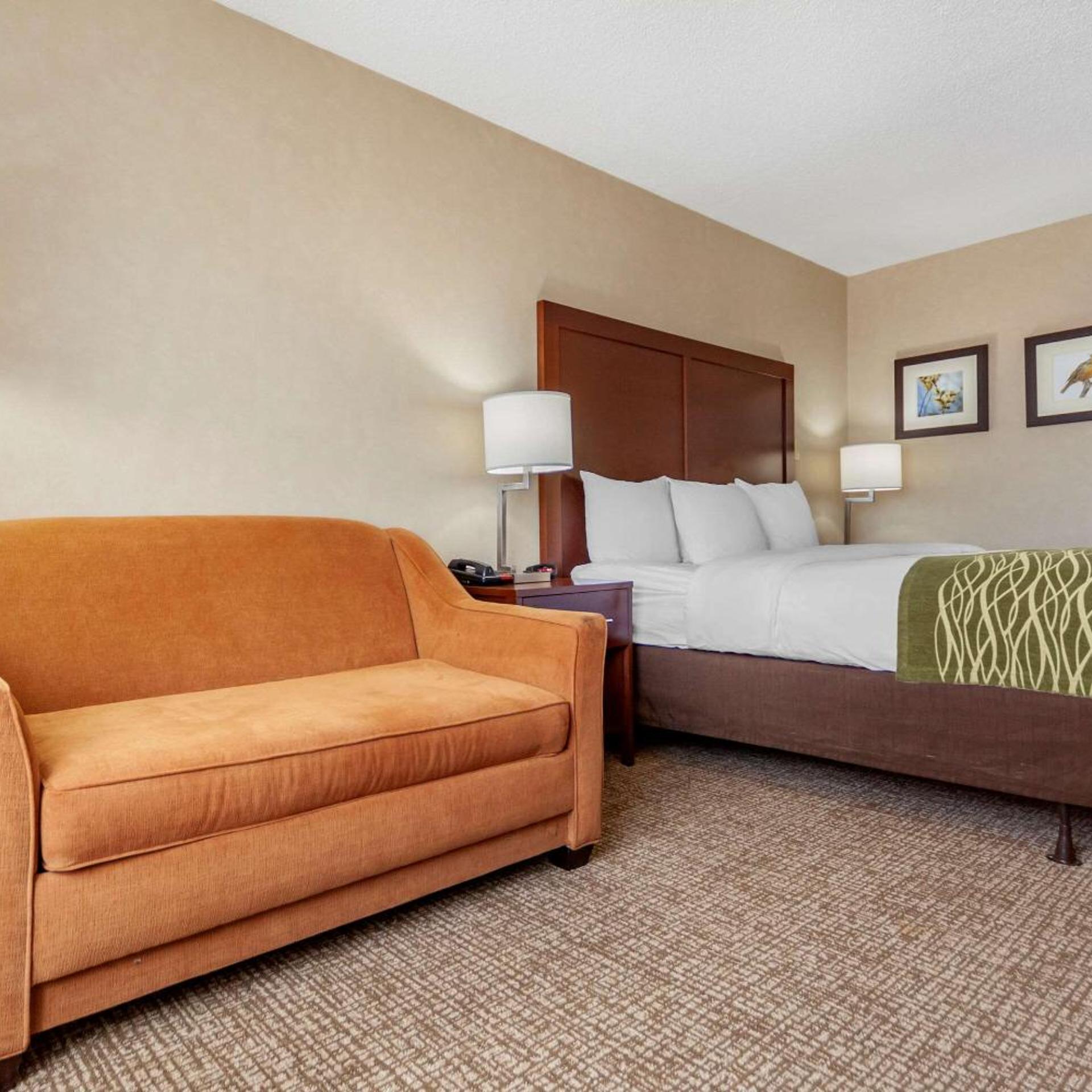 Superior, Suite, King Bed