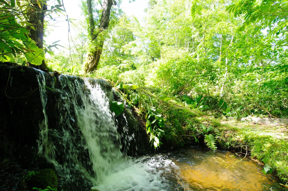 YACHI ONSEN 46/50