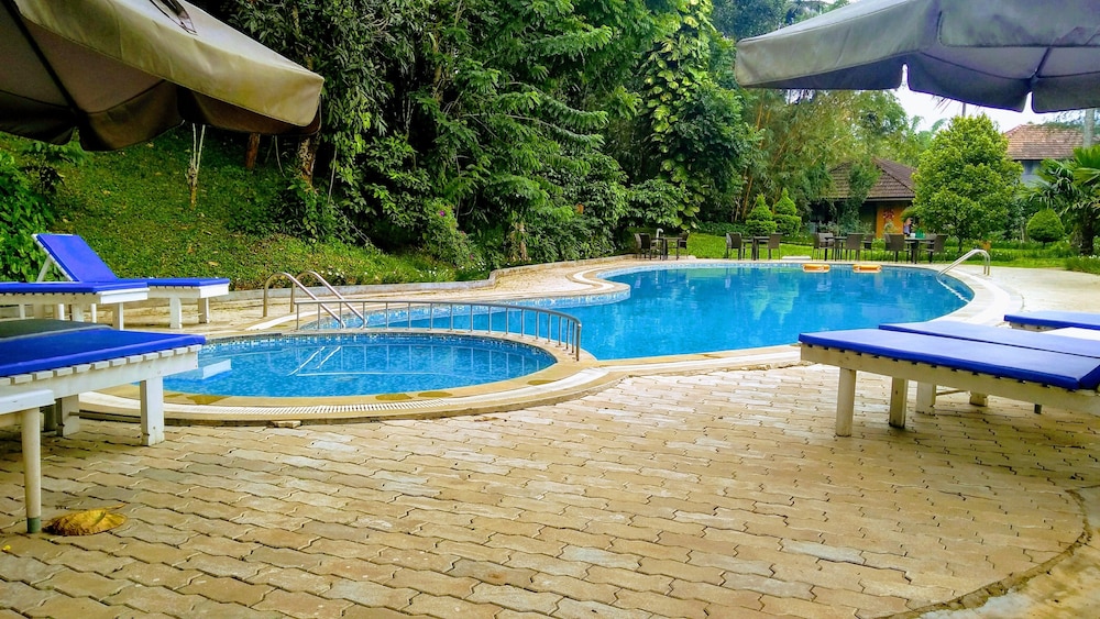 Abad Green Forest 48/50