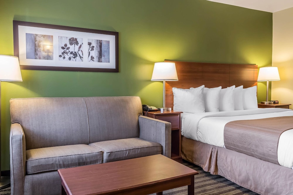 Quality Inn Flamingo 18/40