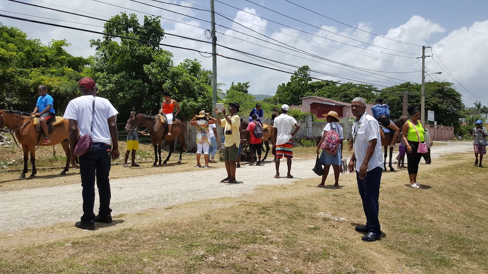 Ocho Rios Villa At Coolshade Iv 39/50