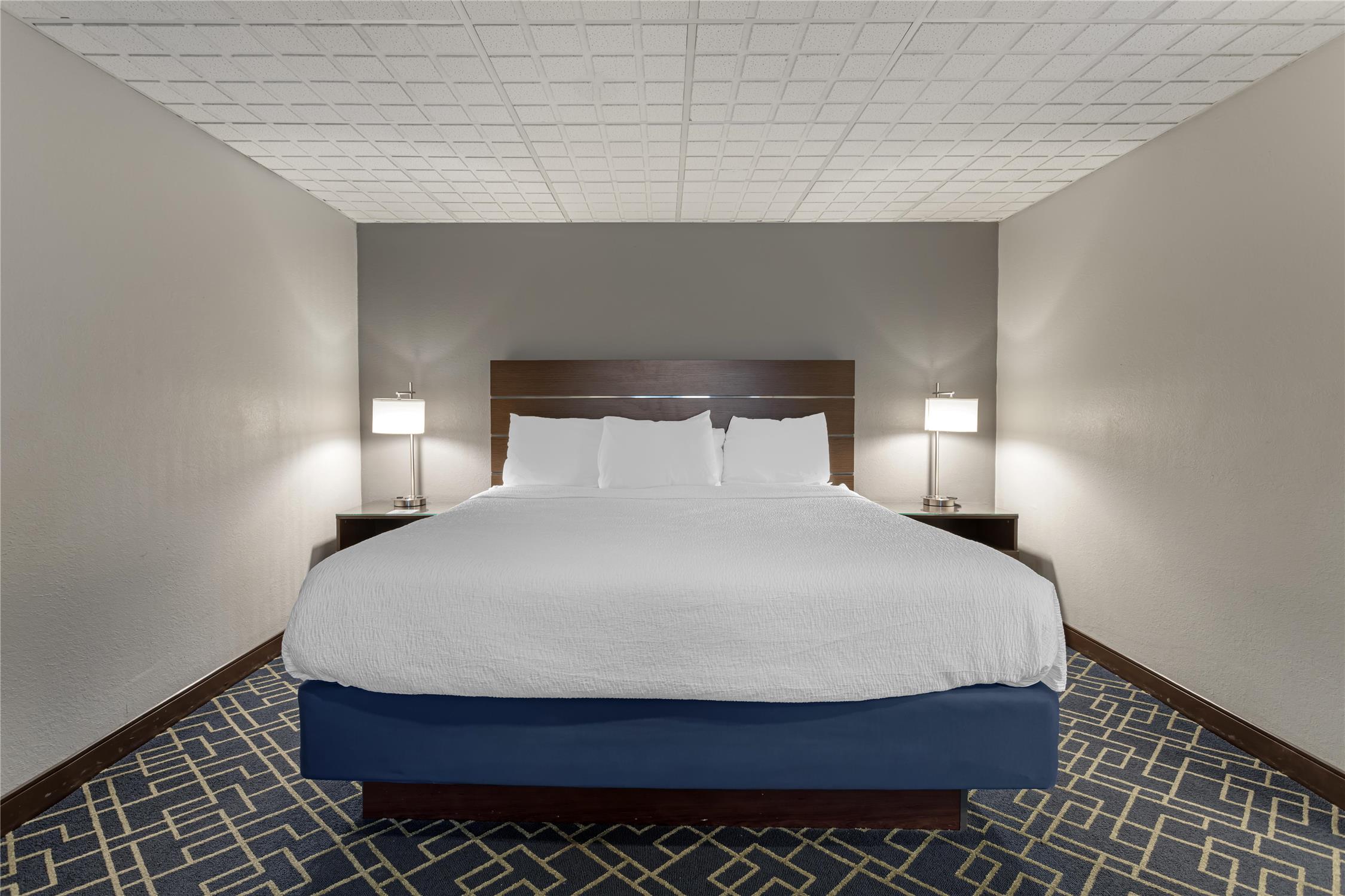 Suite, King Bed, Sofa