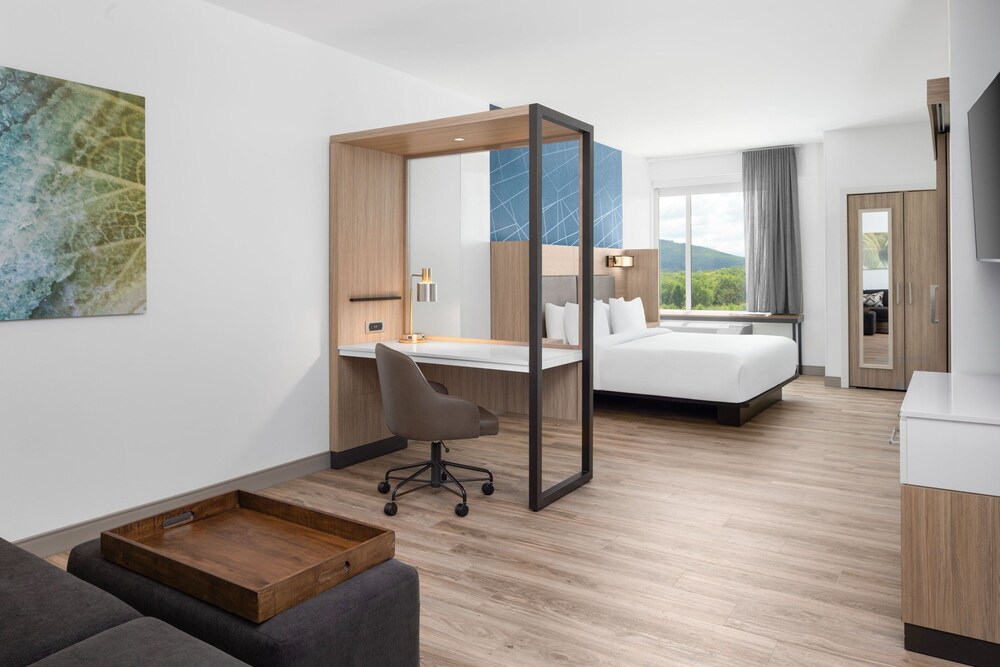 Springhill Suites By Marriott Roanoke North 5/26
