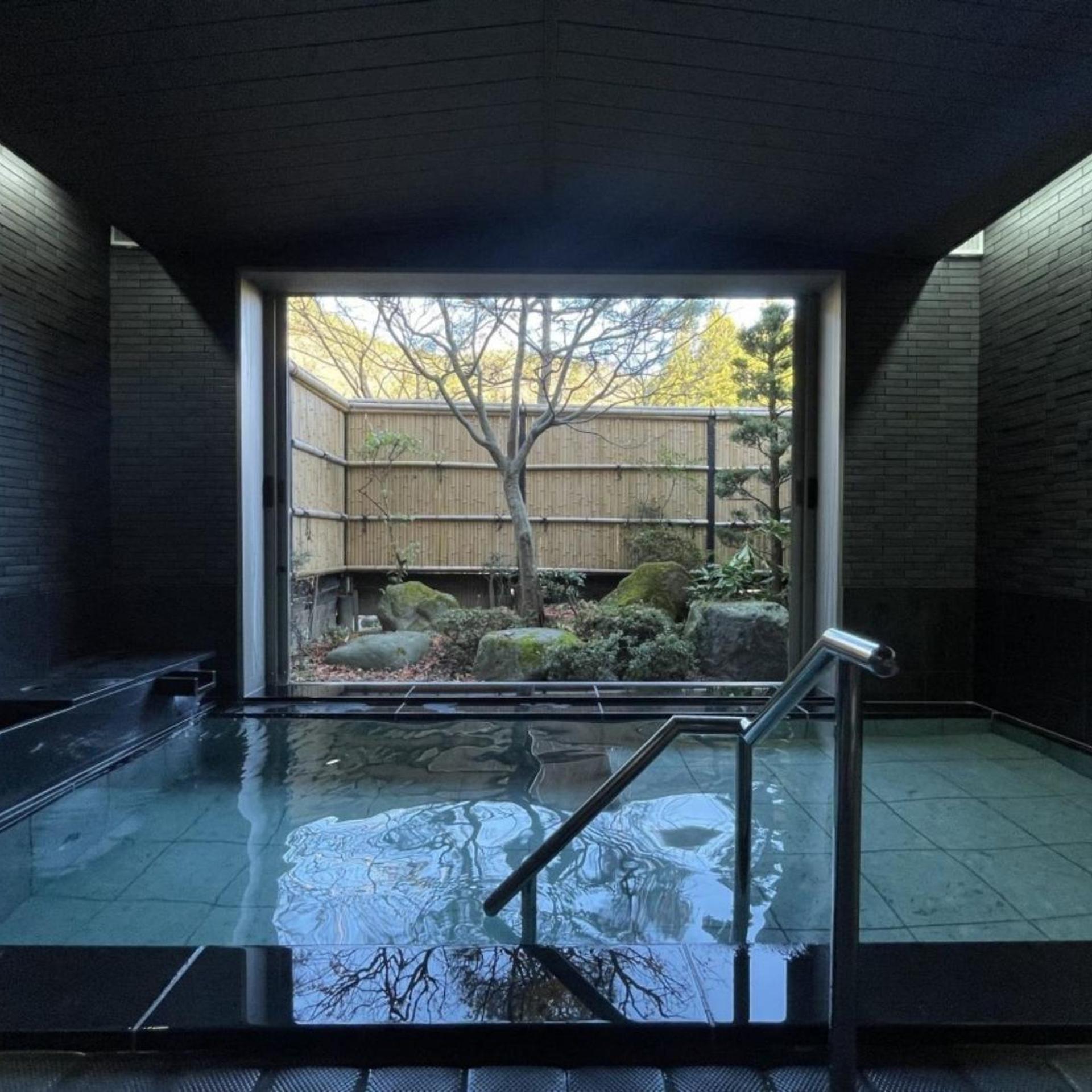 Tsuchiyu Onsen Harumiya Ryokan 27/54
