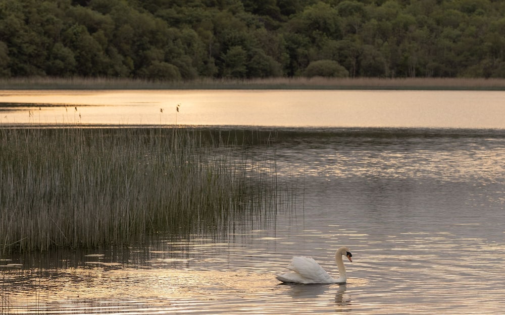 Lough Erne Resort 94/100