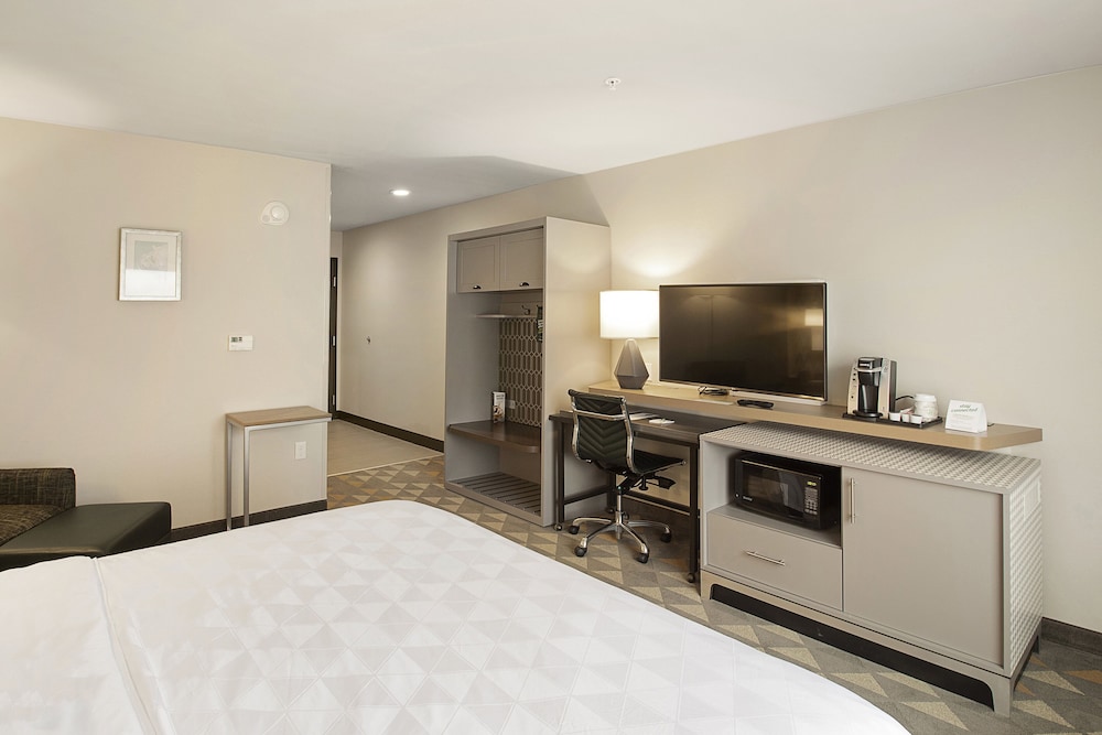 Holiday Inn Hotel Suites Decatur 13/69