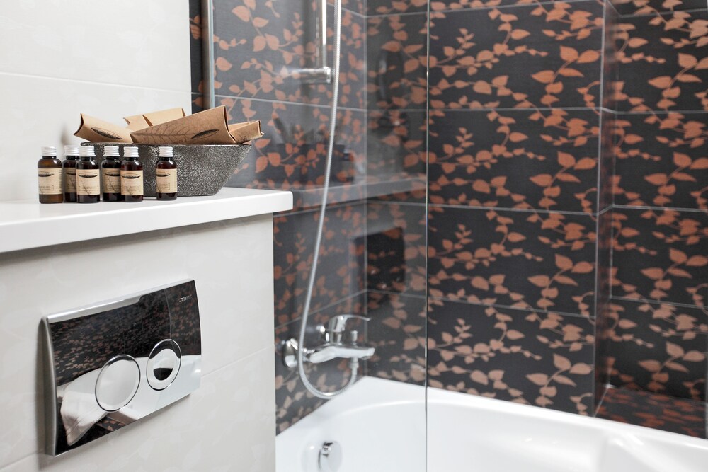 HOTEL BOUTIQUE BELVEDERE SINAIA 13/60