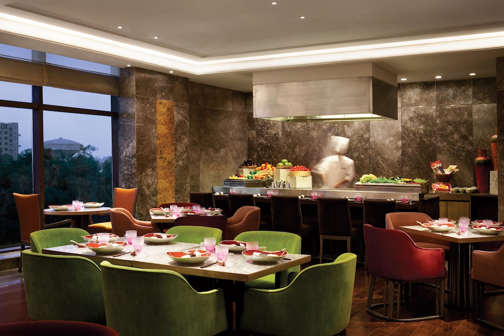The Leela Ambience Convention Hotel Delhi 53/63