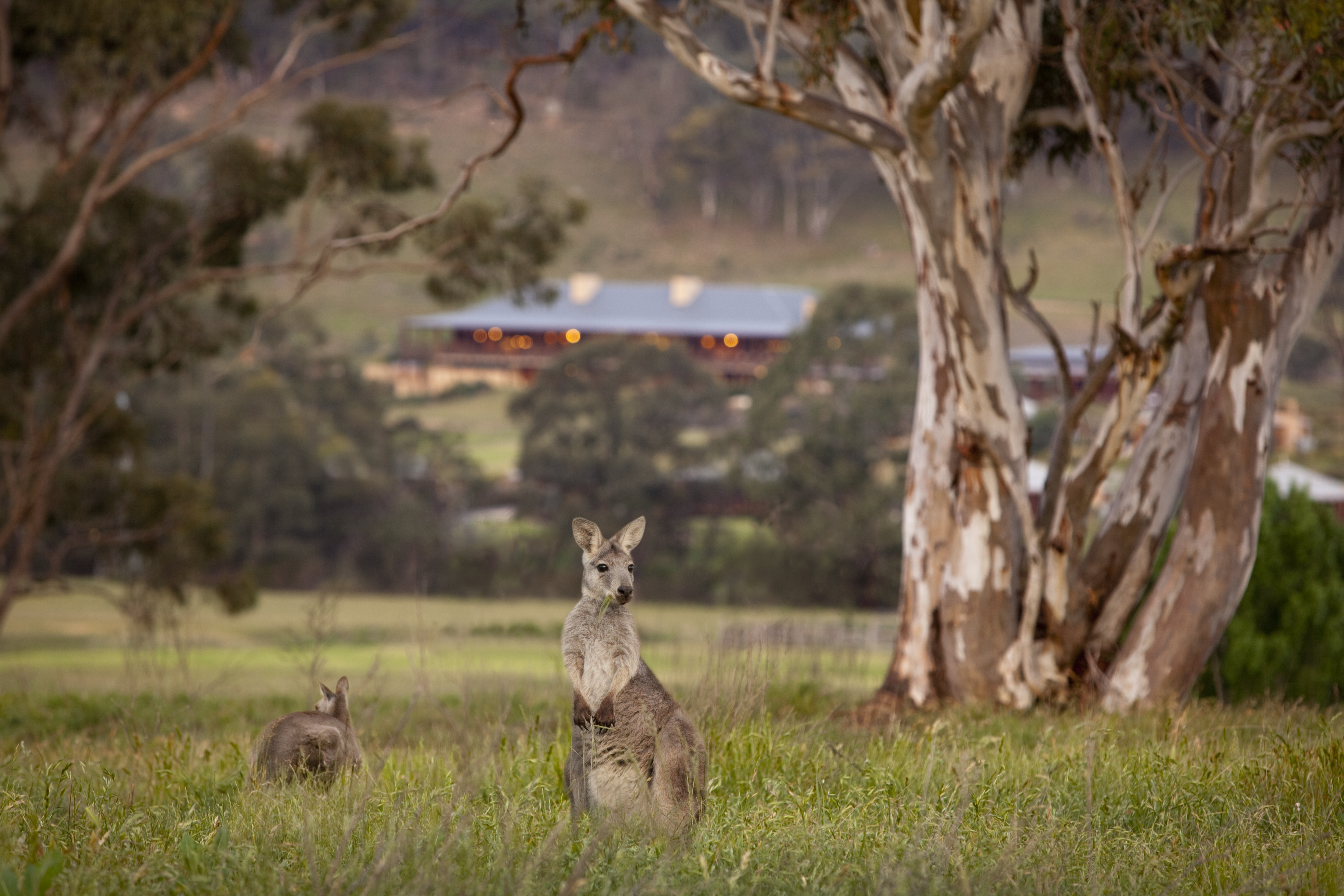 Emirates One&Only Wolgan Valley photo 3