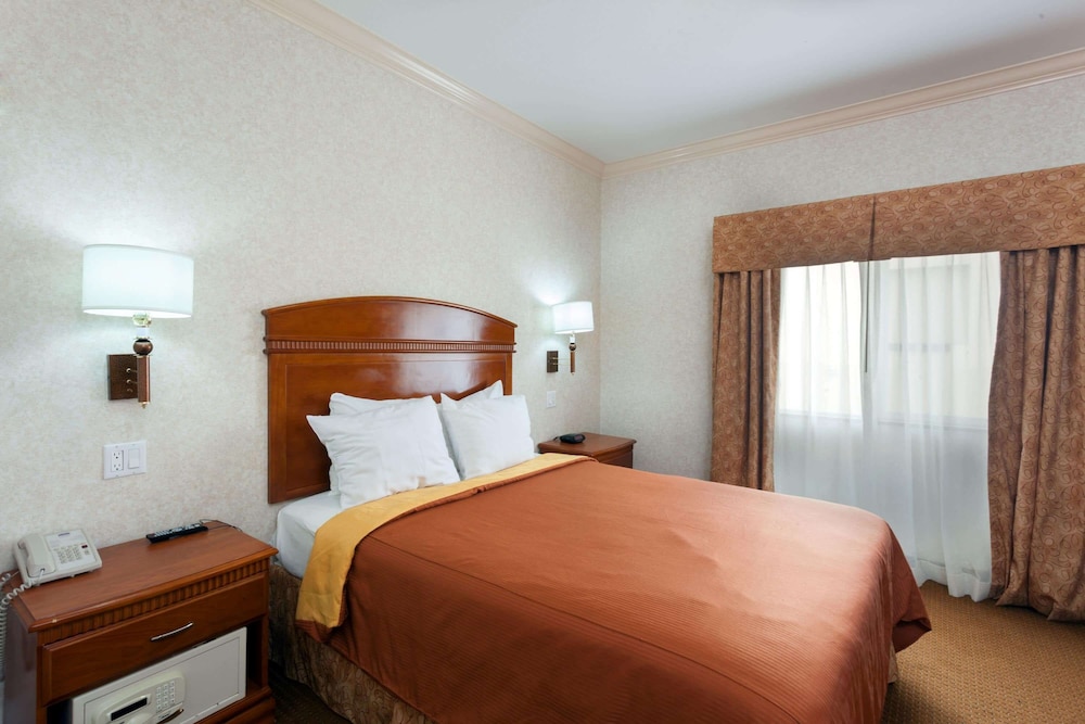 Suite, Queen Bed