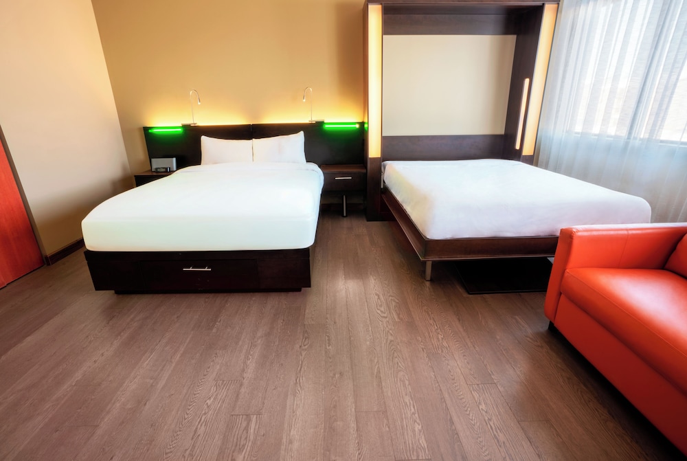 Studio, 1 Queen and 1 Murphy Bed, Queen Murphy Bed, Sofa