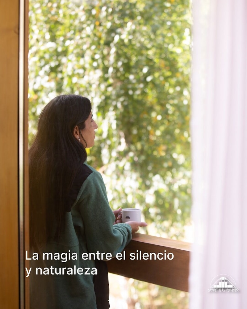 Apart Hotel Del Faldeo 2/19