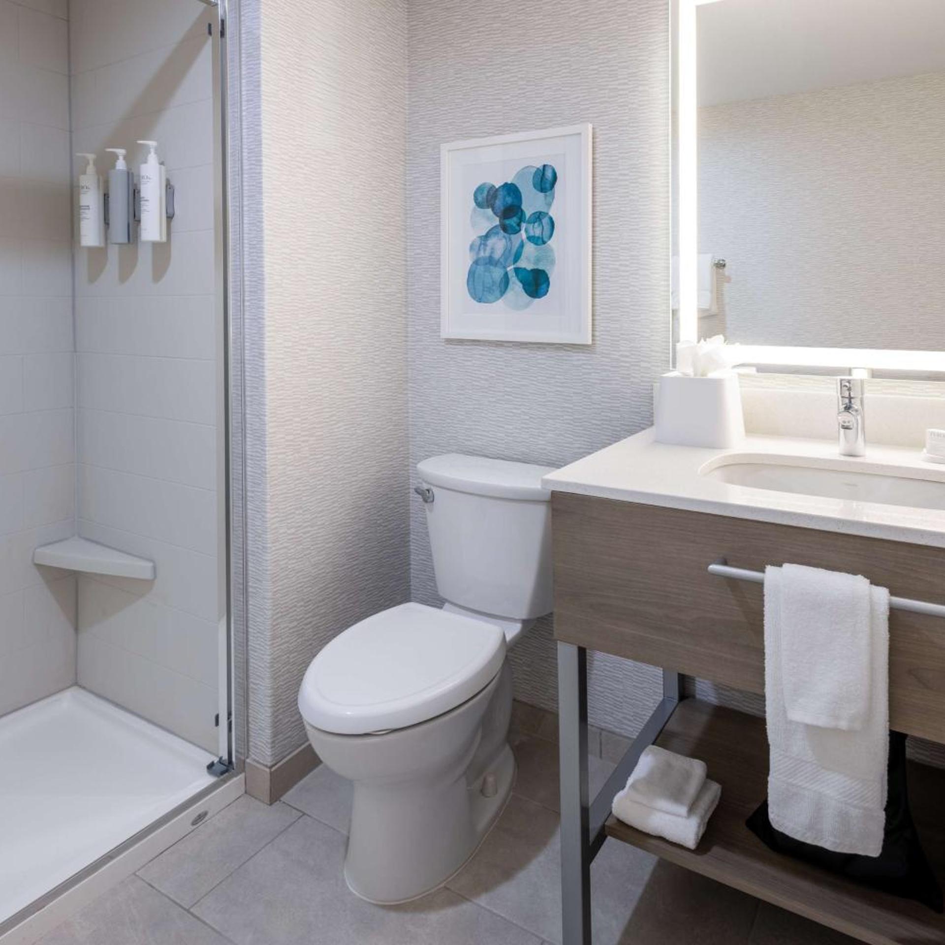 جناح بسرير كينج بغرفة نوم واحدة مع أريكة بمطبخ، Hampton Inn & Suites Venice Bayside South Sarasota 6/9