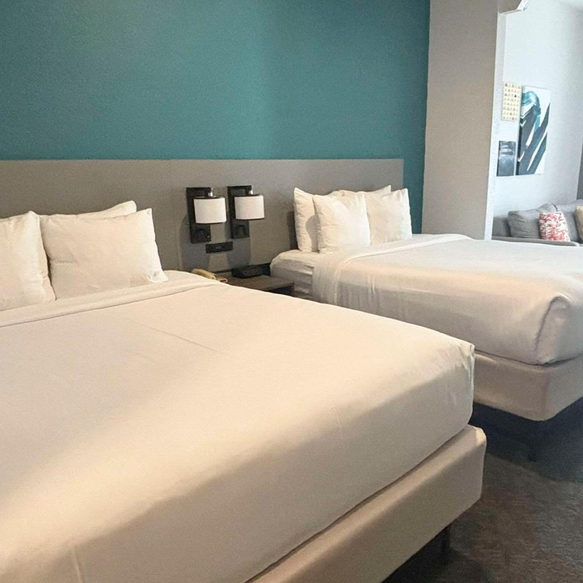 Suite, Queen Bed