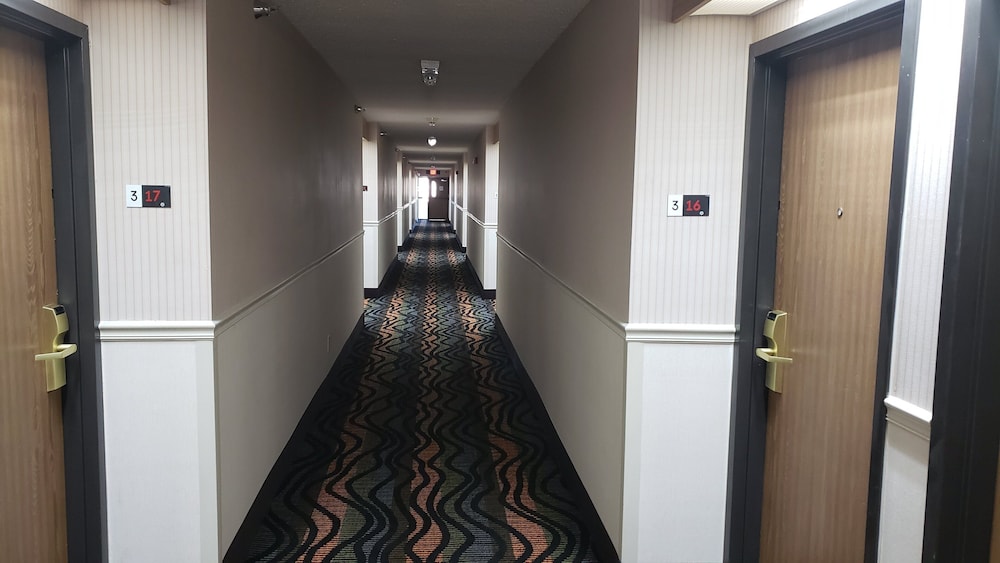 红屋顶酒店Branson, MO(Red Roof Inn Branson, MO) 图片3