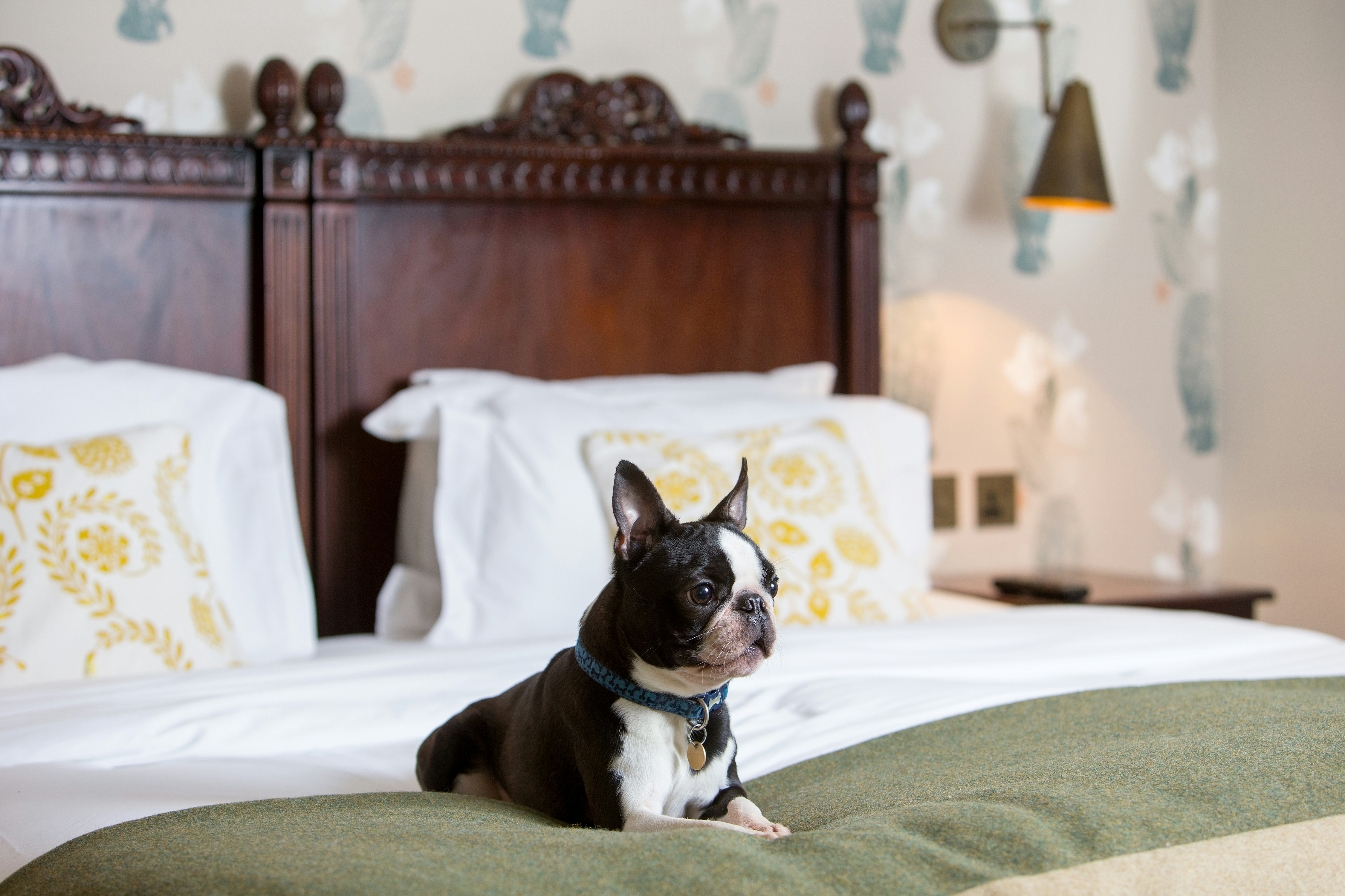 The Morton Hotel 16/36