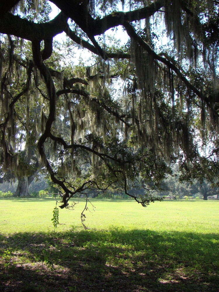 The Inn At Middleton Place 55/62