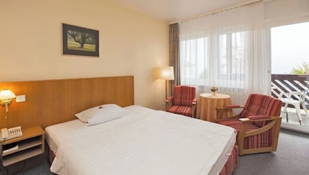 PANORAMA HOTEL OBERWIESENTHAL 11/41