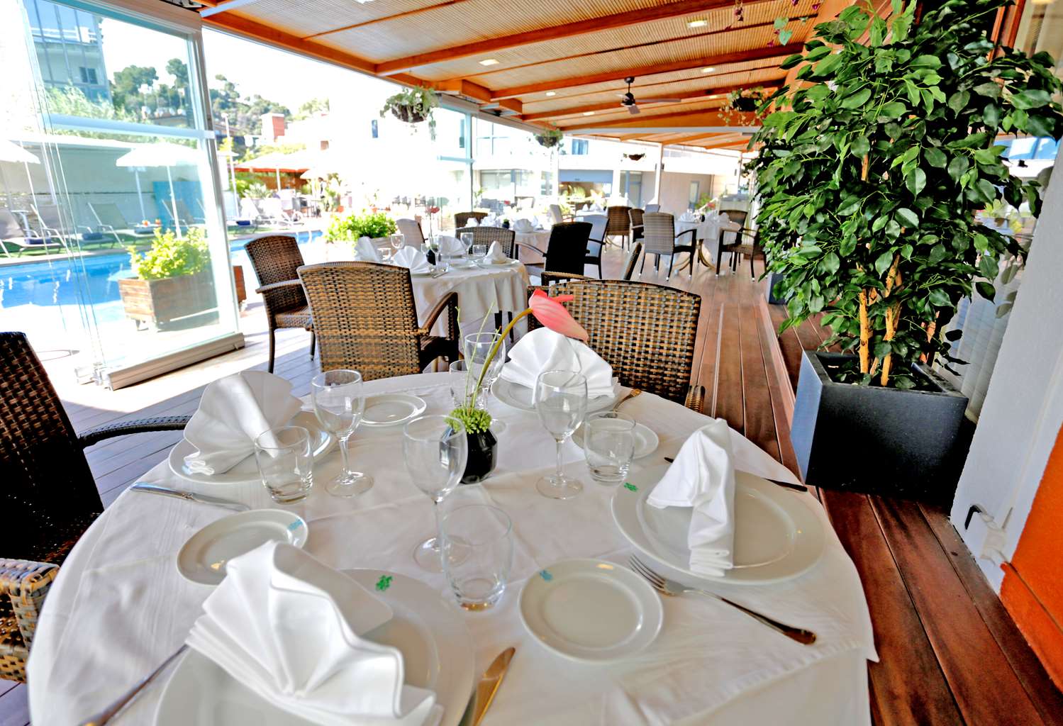 restaurant cafeteria