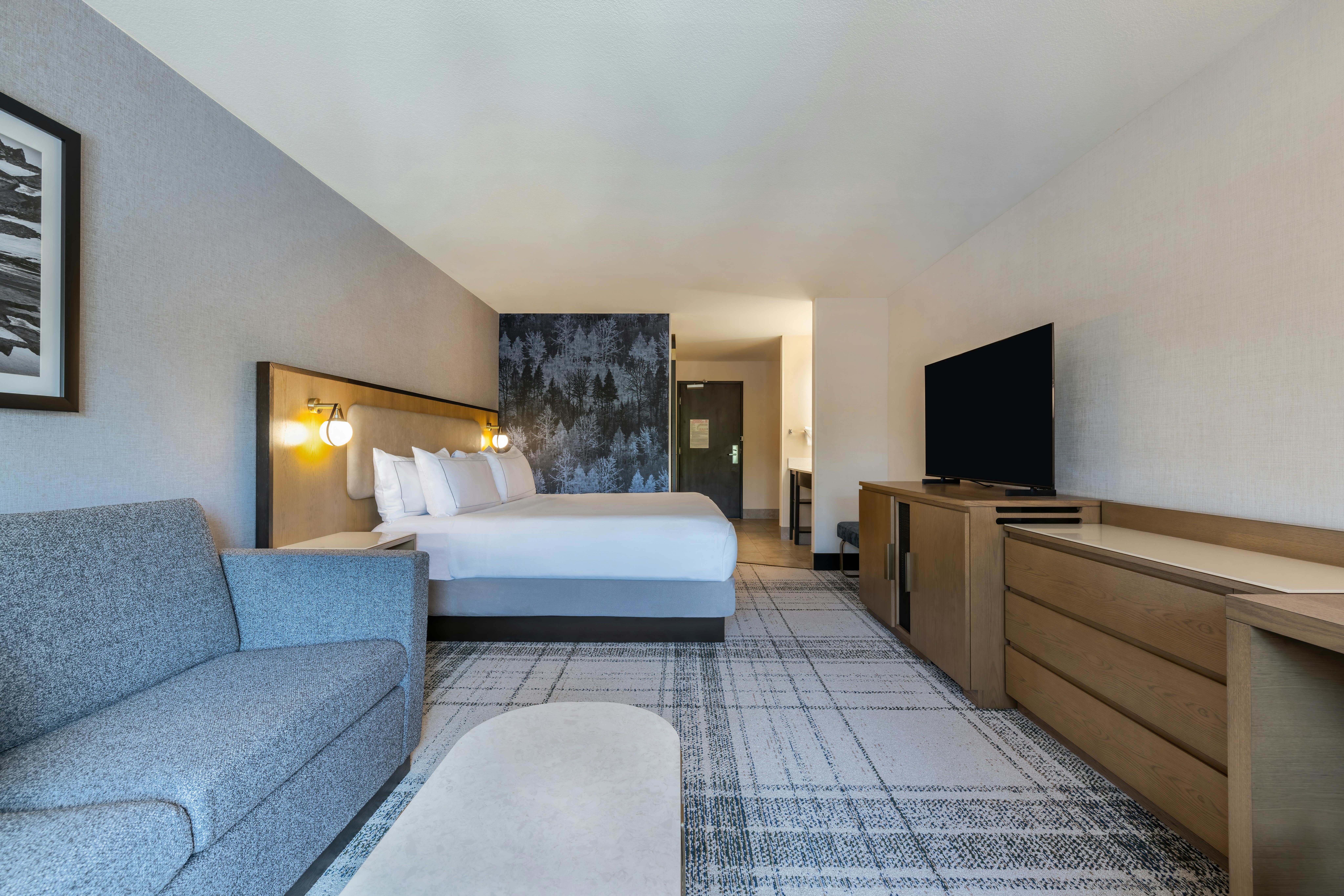 ROOM, KING BED, ACCESSIBLE