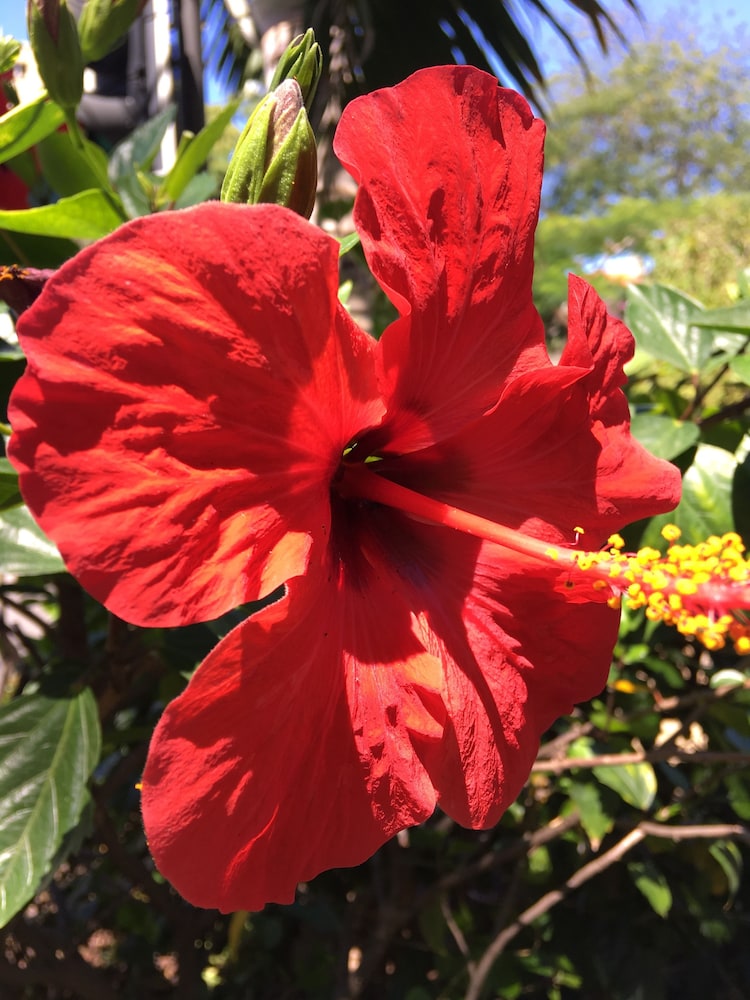 Tradewinds Lodge 19/48