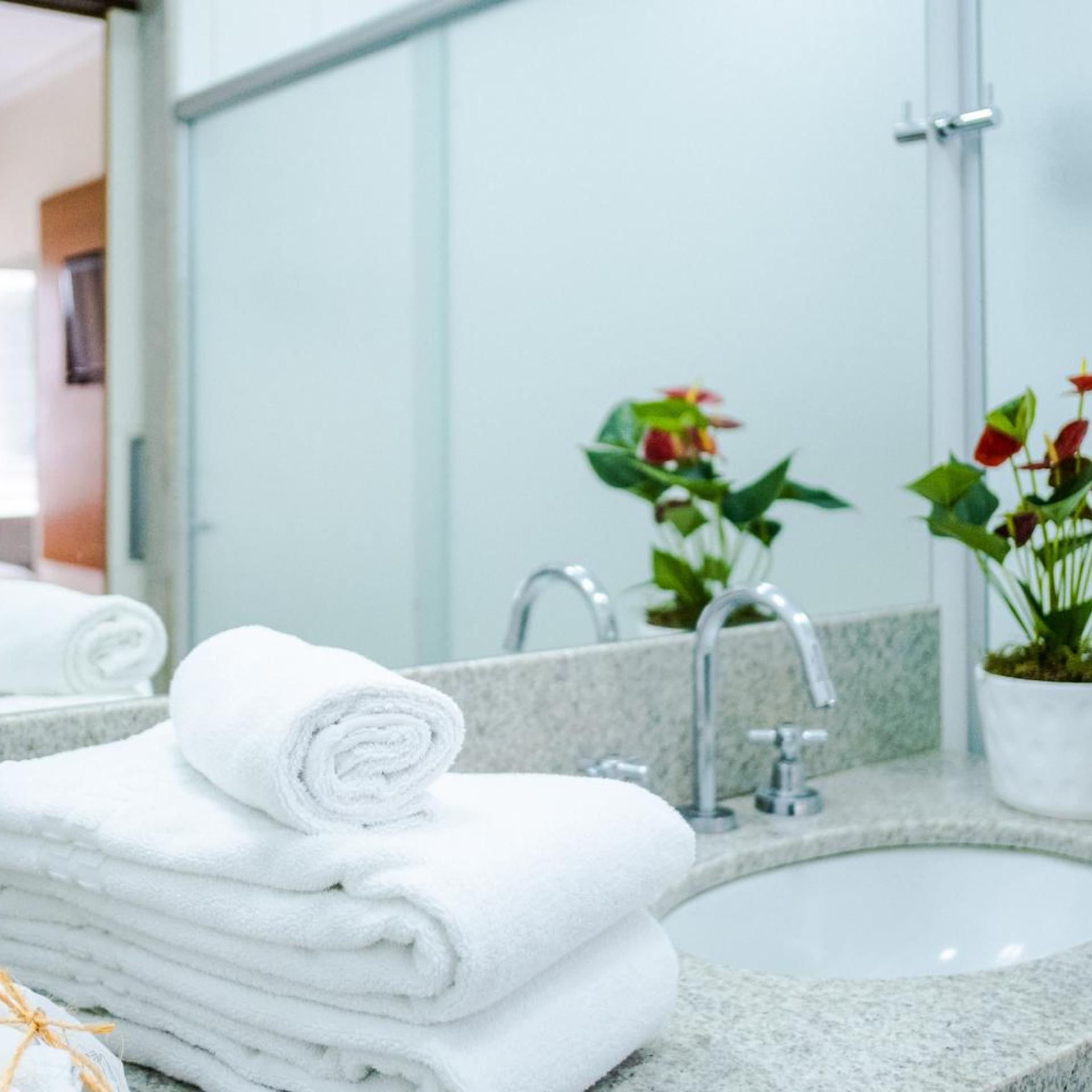 Vitoria Regia Hotel 31/50