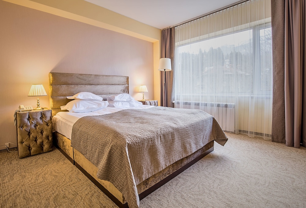 Hotel Rina Sinaia 8/50