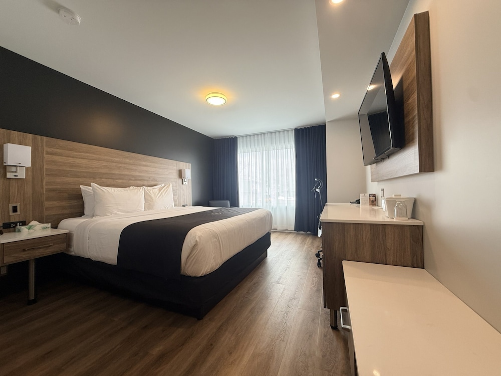 Hotel Suites Le Dauphin 24/74