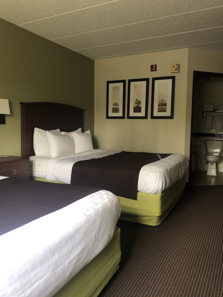 Cobblestone Hotel & Suites - Wisconsin Rapids 6/31